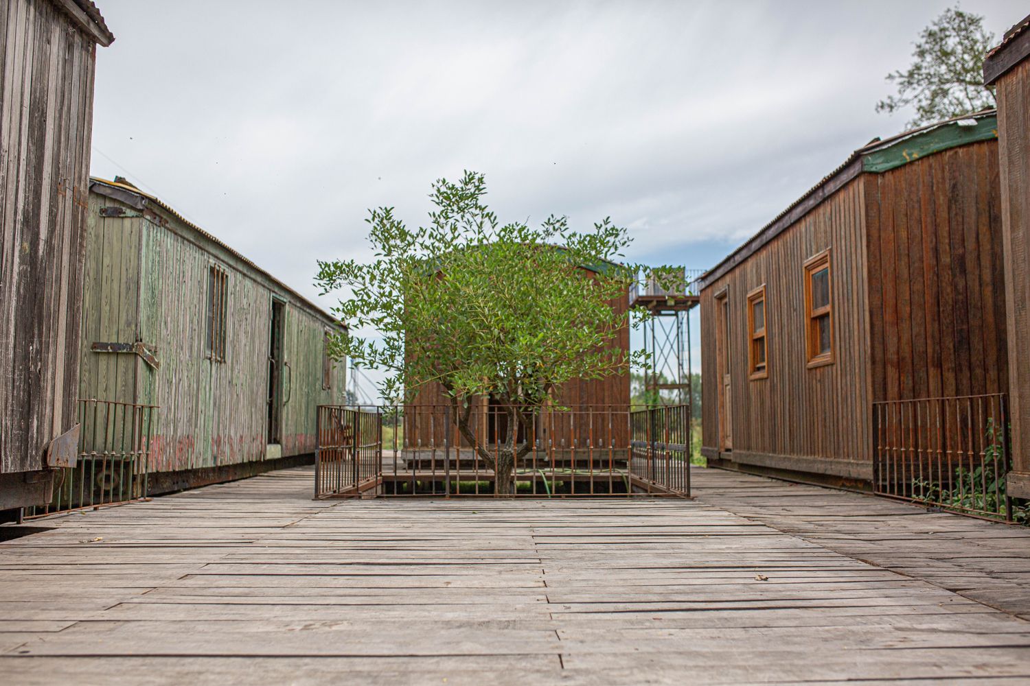 Deck de madera entre los vagones