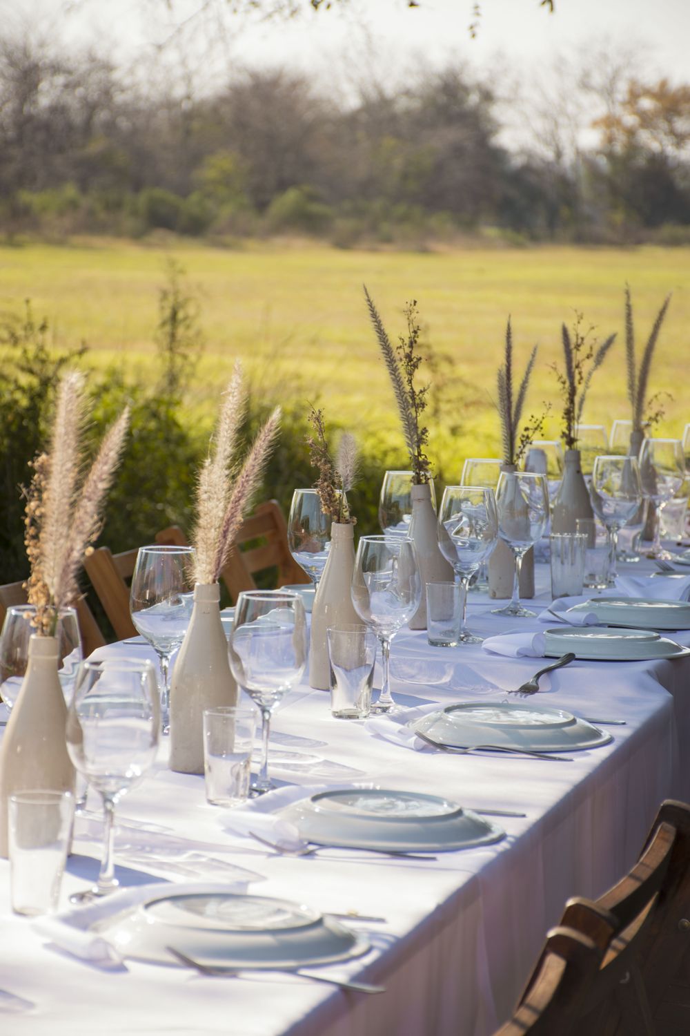 Evento social al aire libre en el predio